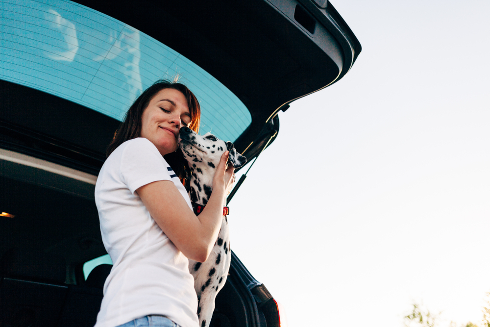 cheerful woman sitting in back of pet taxi car with dog watching sunset from window enjoying travel. The Pet Taxi App® offers Pet Transportation and Delivery Service for Groomers, Dog Daycares, Veterinarians, and Busy Pet Owners.